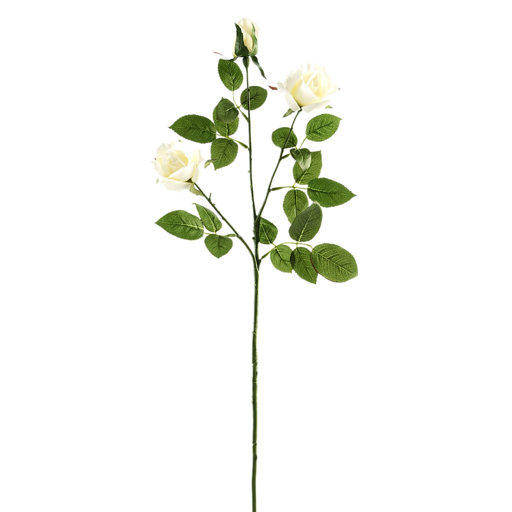 12 Pack: Ivory Sweetheart Rose Spray by Ashland®